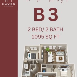 Instagram post from @havenatmansfield on May 03, 2025 00:00:00am